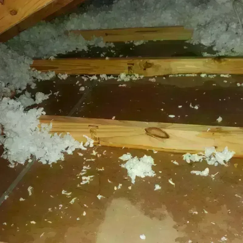 Attic Water Damage in Groveton, NH